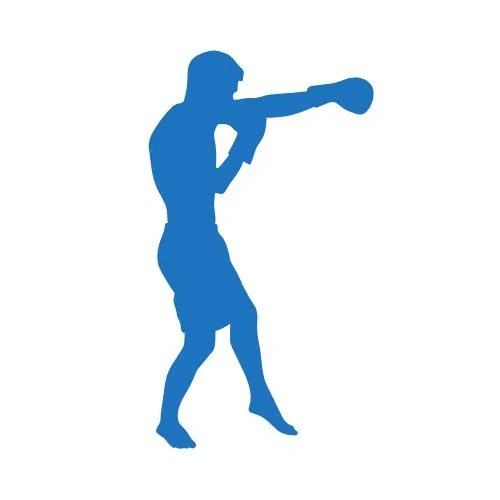 combat and martial arts