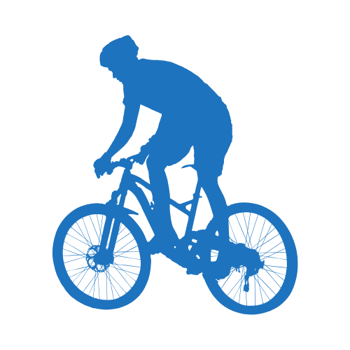 cycling and motorsports