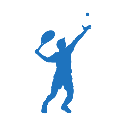 racket and paddle sports