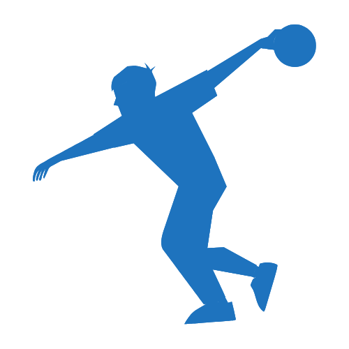 Precision & Indoor Sports